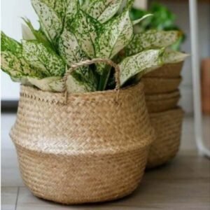 canasto plegable chico 11761